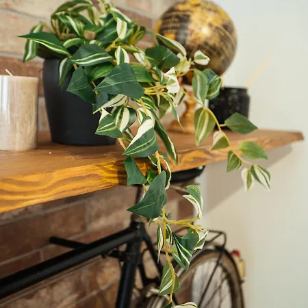 Apartmán The Brick 194, 7 Posti Letto Udine